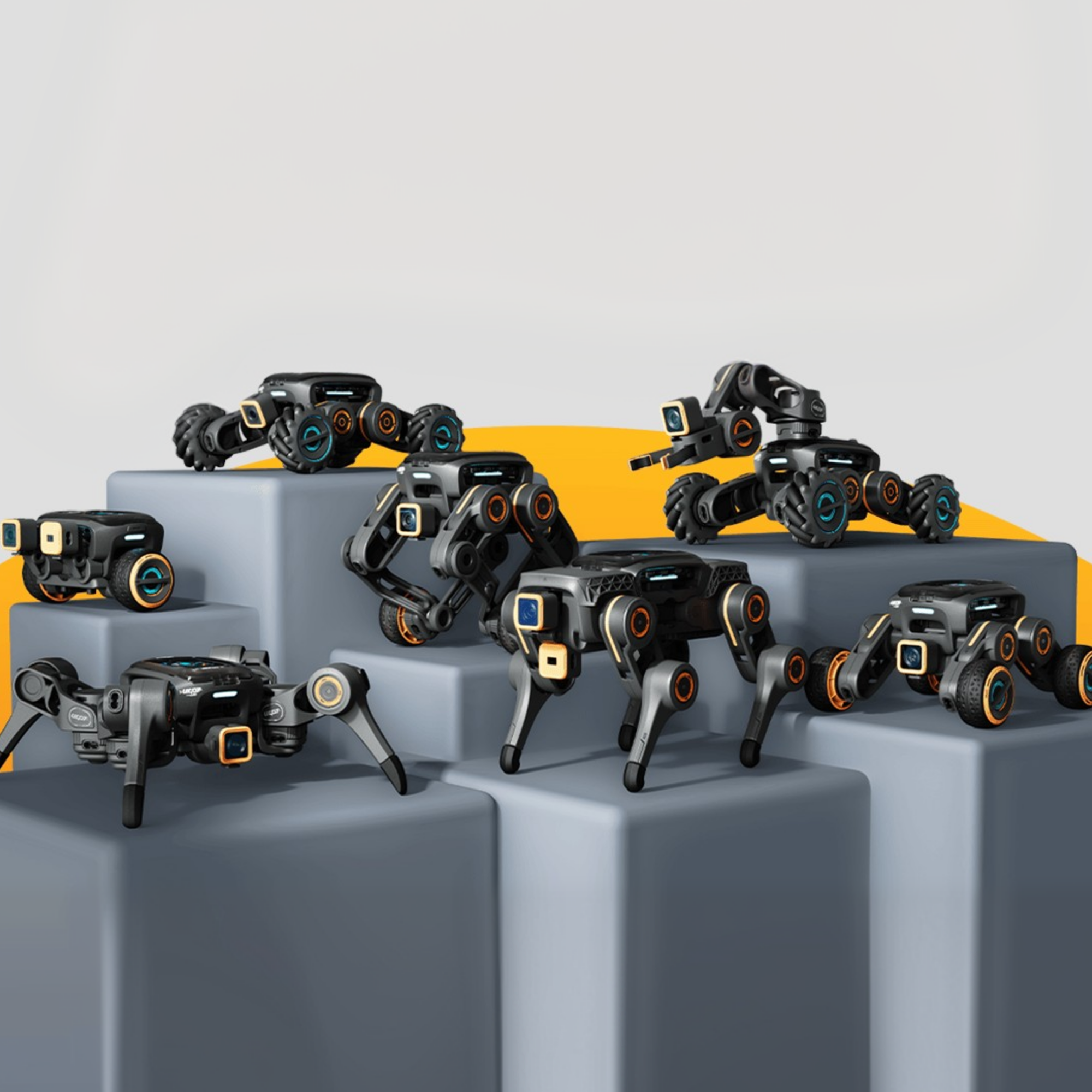 Education robots